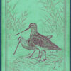 LOT #62 - 9 Square Corner Singles - Image 3