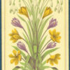 LOT #62 - 9 Square Corner Singles - Image 4
