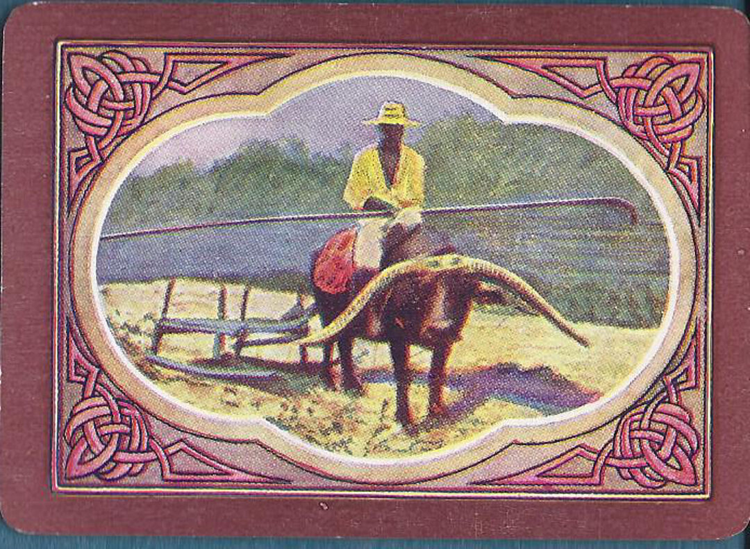 Lot #50: Philippine Souvenir Deck - Image 2