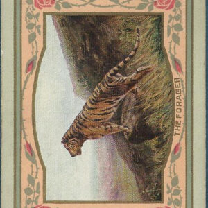 Lot #39: Congress #606 Forager Deck