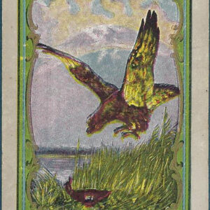 Lot #47: Premier Color Eagle Back Deck