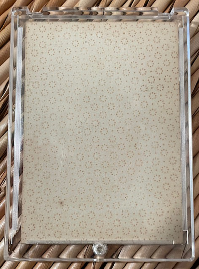 Lot #40: Marquis de Lafayette Ace of Spades - Image 2