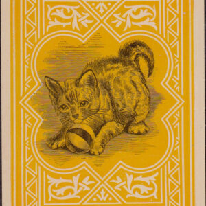 Lot #57: Dougherty Triplicate Cat Back Deck
